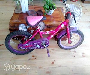 Bicicleta niña