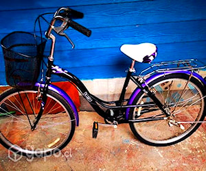 linda bicicleta de paseo