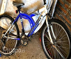 Bicicleta oxford