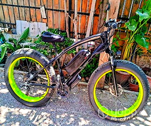 Bicicleta Eléctrica urbana X-MOOV Fat Bike Verde