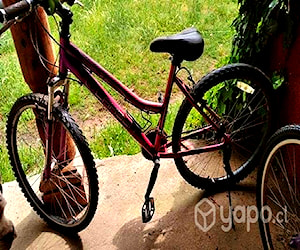 Bicicleta de paseo morada