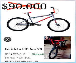 Bicicleta BM ARO 20