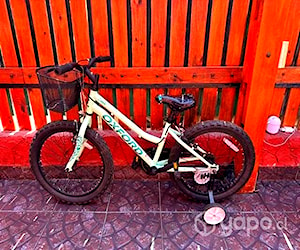 Bicicleta Oxford