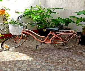 Bicicleta de paseo