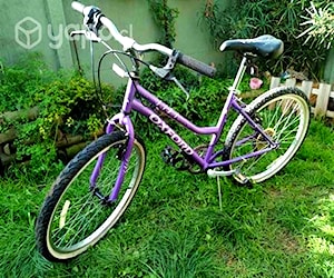 Bicicleta Oxford modelo luna aro 24