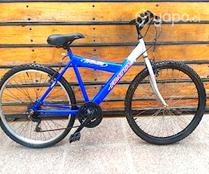 Bicicleta Fratta aro 26 Delivery