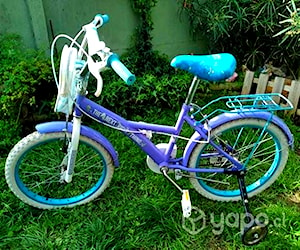 Bicicleta modelo frozen, aro 20