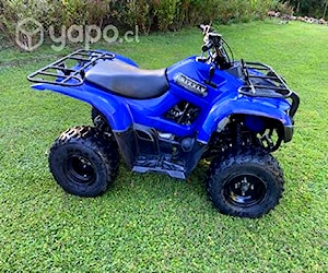 Yamaha Grizzly 300