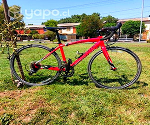 Bicicleta de ruta Specialized talla 44