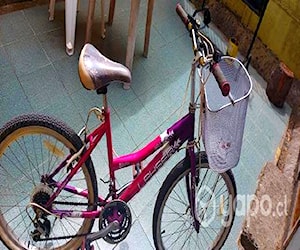 Bicicleta de dama