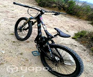 Bici Giant reign MTB