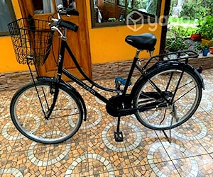 Bicicleta paseo vintage Lahsen