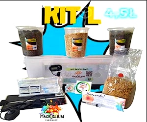 Kit L 4,5L de sustrato