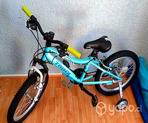 Bicicleta Niña Aro 20