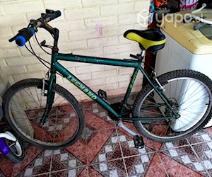 Bicicleta