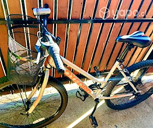 Bicicleta oxford luna aro 27