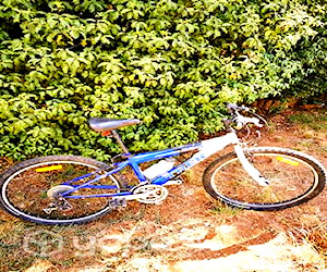 Bicicleta Trek aro 24 Modelo Montain Track220