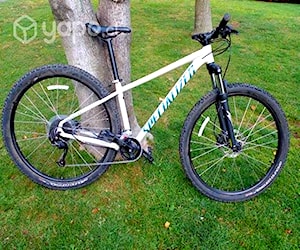 Bicicleta Specialized Rockhopper 29