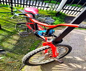 Bicicleta brabus bmx niño
