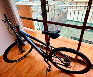 Bicicleta aluminio aro 29