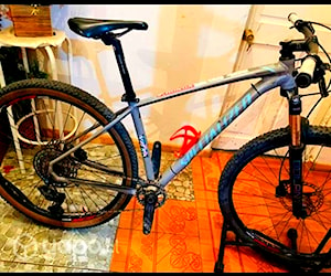 Specialized rockhopper 29 tope de gama gx (ta