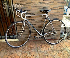 Bicicleta pistera oxford