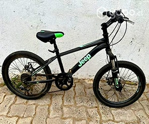 Bicicleta aro 20