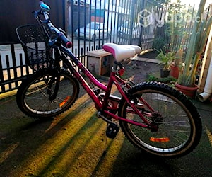 Bicicleta Oxford aro 20