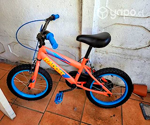 Bicicleta Radost Aro 16