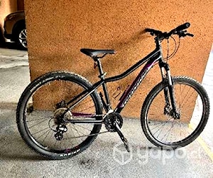 Cannondale Foray 1