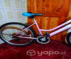 Bicicleta Lashen Aro 26