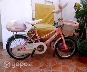 Bicicleta de Barbie