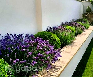 Jardinería profesional