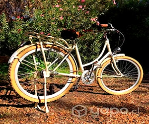 Bicicleta Verne