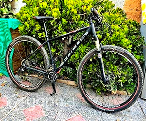 Bicicleta MTB Focus BlackForest 29r