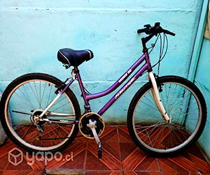 Bicicleta aro 26