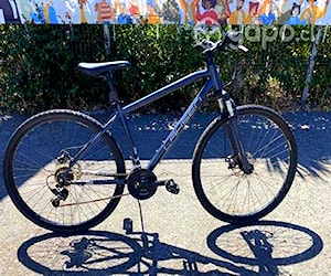 Bicicleta Lahsen aro 29