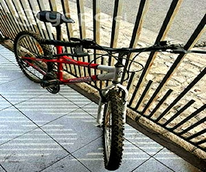 Bicicletas Trek y Derman