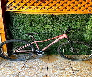 Bicicleta oxford modelo venus