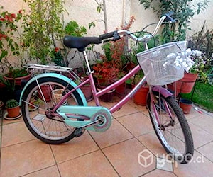 Bicicleta de Paseo