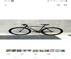 Bici-cycles