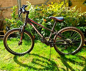 Bicicleta Bianchi Aro 24