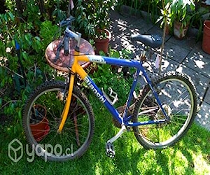Bicicleta Bianchi aro 26