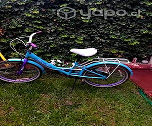 Bicicleta Niña Aro 20
