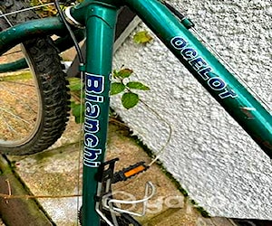 Bicicleta bianchi