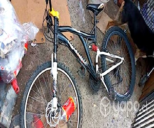 Bici oxford aro 26