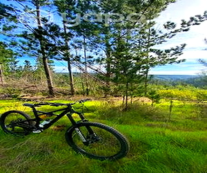 Bicicleta specialized enduro