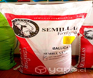 Basfoliar, semillas