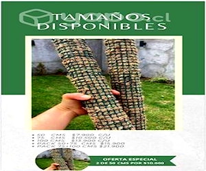 Tutores de musgo para plantas trepadoras