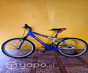 Bicicleta hasa aro 24